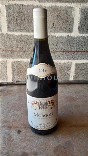 Beaujolais Morgon Domaine Manoir du Carra 2019