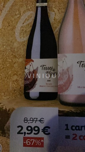 Beaujolais Morgon Terres de Vignes 2023