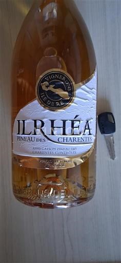 Poitou-Charentes Pineau-des-Charentes Vignerons Ile de Ré Ilrhéa Không niên vụ