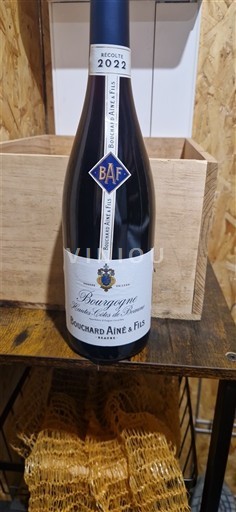 Bourgogne Bouchard Aîné & Fils Bourgogne Pinot Noir 2022