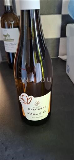 Thung lũng sông Loire Muscadet Laurent Grégoire Mélon d'Or Không niên vụ