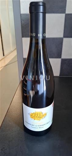 Thung lũng sông Loire Saumur-champigny Château Chaintres 2020
