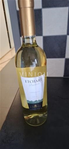 Vin Blanc sec Torrontés Etchart Non millésimé Argentine Salta