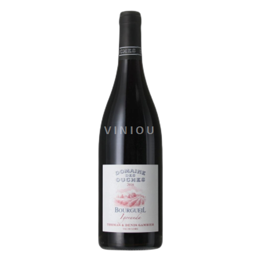 Loirevallei Bourgueil Domaine Des Ouches Igoranda 2022
