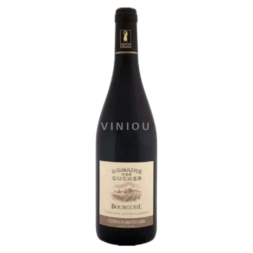 Loirevallei Bourgueil Domaine Des Ouches Coteaux des Ouches 2022