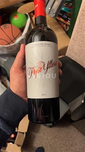 Castilien og León Ribera del Duero Pepe Yllera 2022