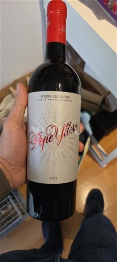 Castilla og León Ribera del Duero Pepe Yllera 2022