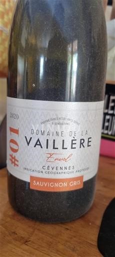 Languedoc in Roussillon Cévennes Domaine La Vaillère Sauvignon Gris 2020