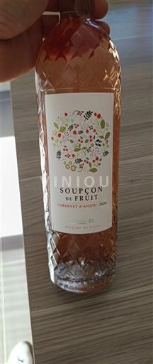 Vallée de la Loire Cabernet-d'anjou Soupçon de Fruit 2021