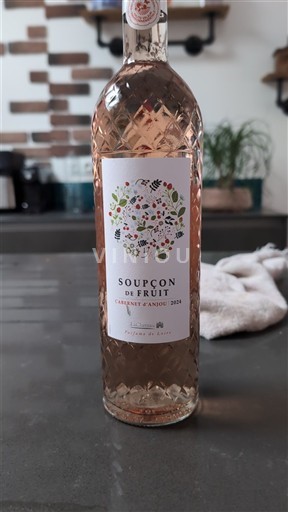 Loire-dalen Cabernet d'Anjou Soupçon de Fruit 2021