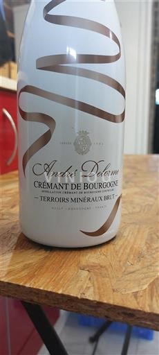 Bourgondië Crémant de Bourgogne André Delorme Terroirs Minéraux Brut Niet-geïntegreerd