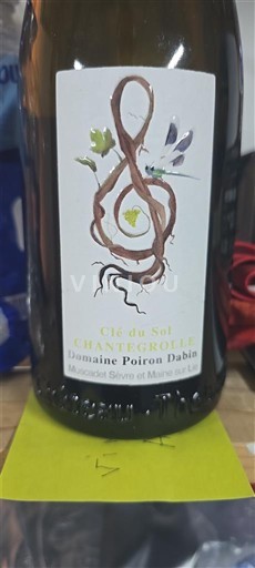 Loiren laakso Määrittelemätön Domaine Poiron Dabin Clos du Sol Chanterolle 2022