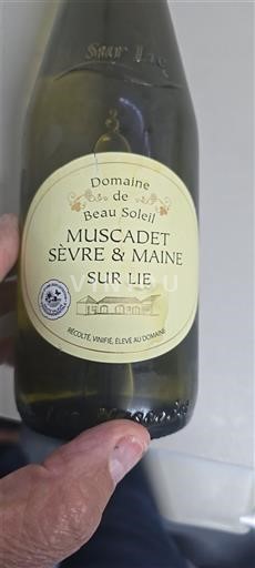 Valle della Loira Muscadet Sèvre et Maine Domaine Beau Soleil 2024