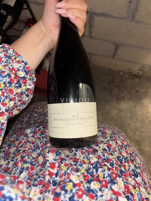 Bourgogne Bourgogne Côte d'Or Domaine  2019