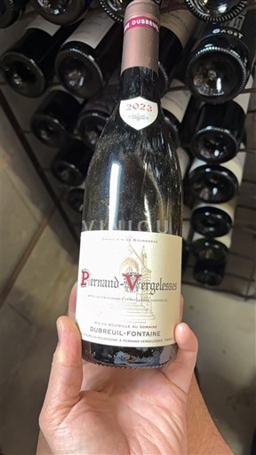 Burgundi Pernand-vergelesses Dubreuil-Fontaine 2023
