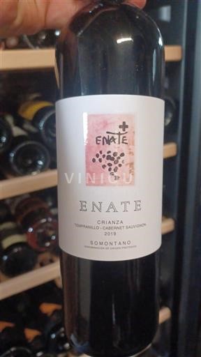Aragon Somontano Enate Crianza 2019