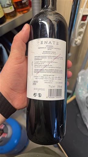 Aragon Somontano Enate Crianza 2019