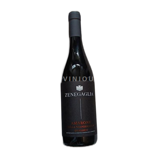 Vin Rouge sec Amarone della Valpolicella Alberto e Mauro Zenegaglia 2019 Italie Vénétie Amarone della Valpolicella DOCG
