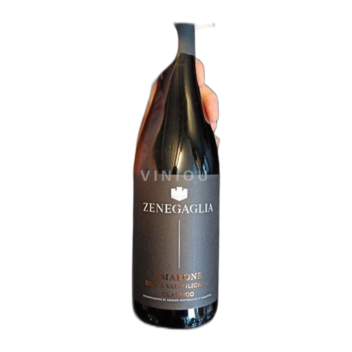 Vénétie Amarone della Valpolicella Alberto e Mauro Zenegaglia Amarone della Valpolicella 2019