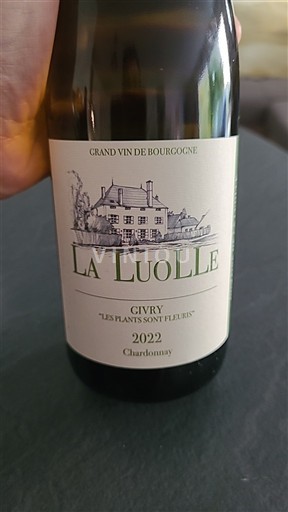 Bourgondië Givry La Luolle Les Plants Sont Fleuris 2022