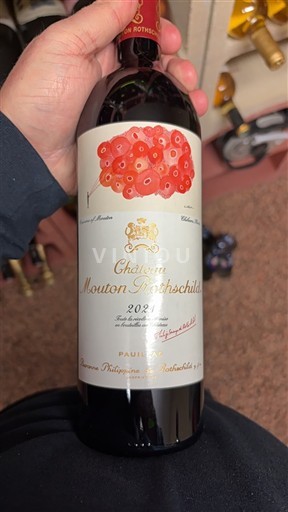 Bordeaux Pauillac Grand Cru Château Mouton Rothschild 2021