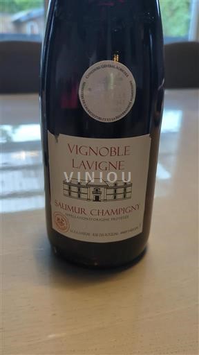 Valle della Loira Saumur-Champigny Vignoble Lavigne Senza annata