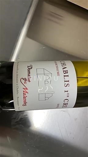 Bourgogne Chablis Premier Cru Domaine Des Malandes fourchaume 2021