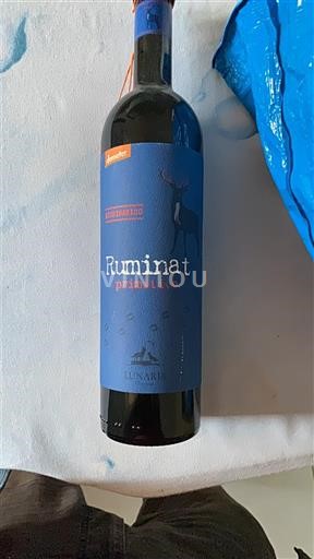 Apulia Wines Unspecified Lunaria Ruminat 2020