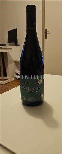 Thung lũng sông Loire Saumur-champigny Domaine Des Roches Neuves 2024