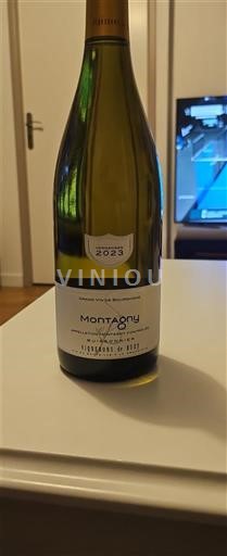 Bourgogne Montagny Vignerons de Buxy 2023