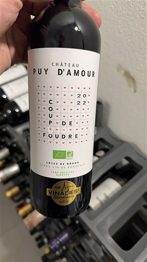 Bordeaux Côtes-de-bourg Château Puy Amour Coup de Foudre 2022