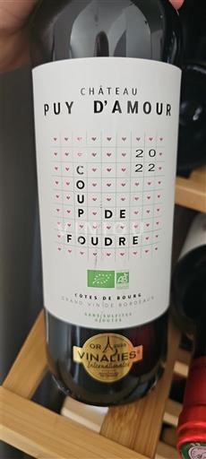 Bordeaux Côtes-de-bourg Château Puy Amour Coup de Foudre 2022