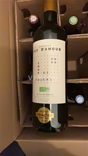 Bordeaux Côtes-de-bourg Château Puy Amour Coup de Foudre 2022