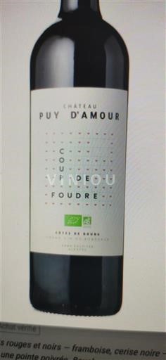 Bordeaux Côtes-de-bourg Château Puy Amour Coup de Foudre 2022