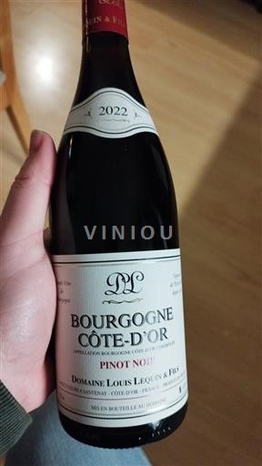 Bourgogne Bourgogne Côte d'Or Domaine Louis Lequin & Fils 2022
