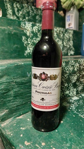 Bordeaux Pauillac Grand Cru Château Croizet-Bages 1999