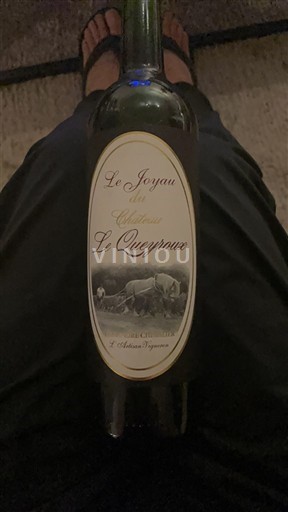 Bordeaux Blaye-côtes-de-bordeaux Château Le Queyroux Le Joyau 2005