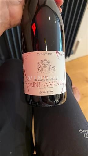 Beaujolais Saint-Amour Domaine Des Chers Vieilles Vignes 2024