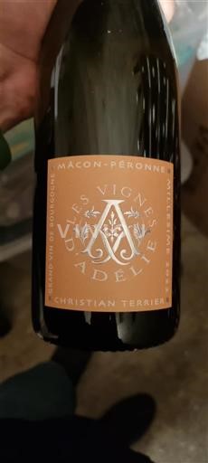 Borgogna Mâcon e Mâcon-Villages Christian Terrier Les Vignes d'Adélie 2022