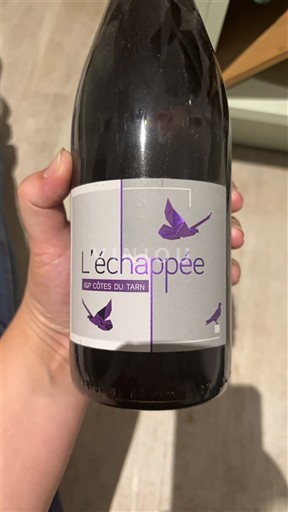 Sudoeste Côtes del Tarn L'échappée 2020