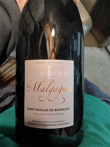 Thung lũng sông Loire Saint-Nicolas-De-Bourgueil Estelle et Rodolphe Cognard Les Malgagnes 2017