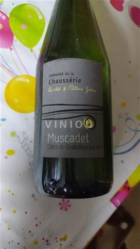 Loiren laakso Määrittelemätön Domaine La Chausserie 2011
