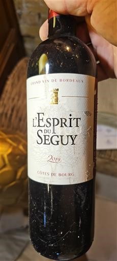 Bordeaux Côtes-de-bourg L'Esprit du Séguy 2019