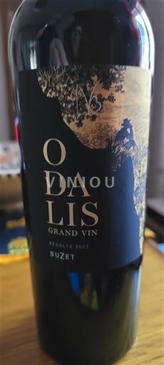 Sydvestfrankrig Buzet Odalis Grand Vin 2022