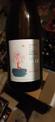 Valle della Loira Montlouis-sur-Loire Domaine La Croix Méllier Haut des Pions 2022
