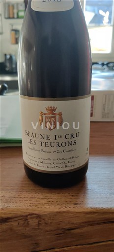 Burgundsko Beaune Premier Cru Guillemard-Pothier Les Teurons 2018