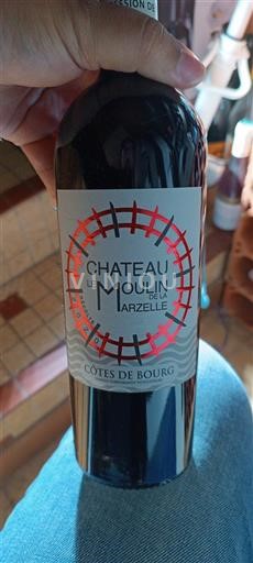 Bordeaux Côtes-de-bourg Château Le Moulin de la Marzelle 2020