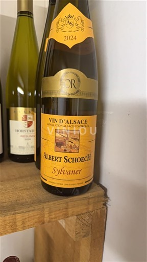 Alsace Albert Schoech Sylvaner 2024