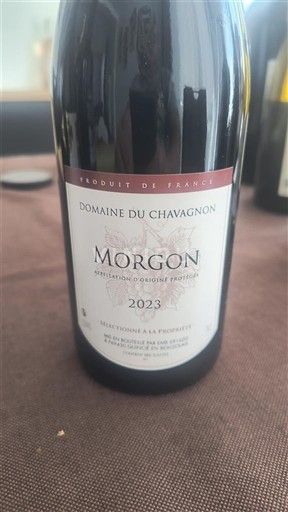 Beaujolais Morgon Domaine Chavagnon 2023