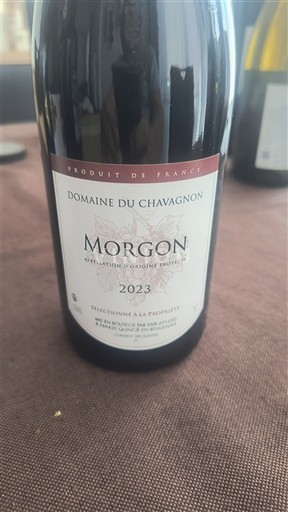 Beaujolais Morgon Domaine Chavagnon 2023
